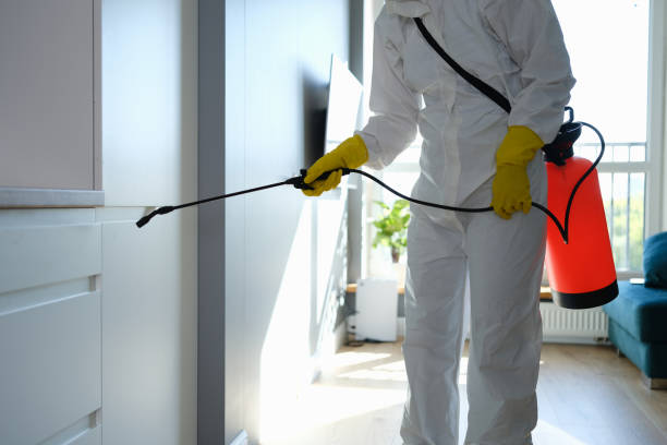 Best Mold Testing  in Cresaptown, MD